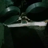 گل ترازو