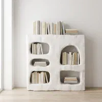 کتابخانه و شلف پاپیه ماشه