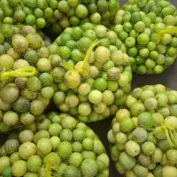 لیمو ابگیری