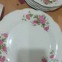 تعدادی چینی‌ گل سرخی ..سالم
