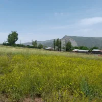 فروش زمین مسکونی
