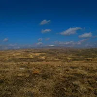 فروش زمین کشاورزی دیمزار  ۱۰ هکتار یکجا
