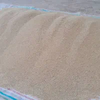 جو کوردی