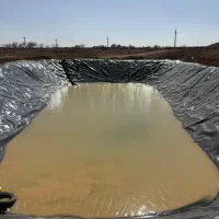 ژئوممبران