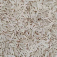 طارم هاشمی
