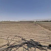 فروش-زمین-2500-متری-باغی-در-نظر-اباد