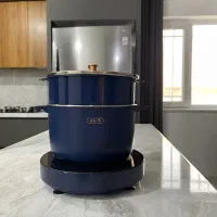 بخار پز برقی
