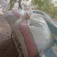 کاه یونجه