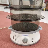 بخار پز در حد نو گوسینگ