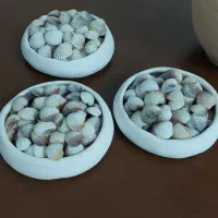 صدف دریایی