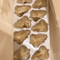 لوستر