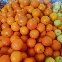 میوه میوه میوه