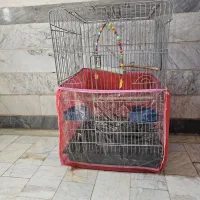 قفس ۱۰۳۳ با تجهیزات کامل نو