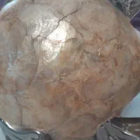 دکوری خاص|مجسمه، تندیس، ماکت|کرج, حیدرآباد|دیوار
