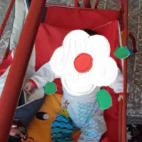 کالسکه گهواره روروک نوزاد