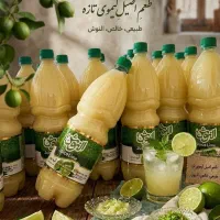 تامین آبلیموکارخانجات‌‌ بنکداران‌وپخشهای موادغذایی