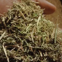 خار فروشی|لوازم جانبی حیوانات|شامکان, |دیوار