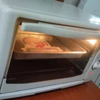 توستر پنجاه لیتر سانی