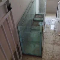 آکواریوم