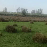 فروش ۱۶۰۰۰متد زمین باغی ‌کشاورزی