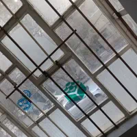 همخونه