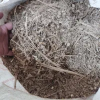 خاک اره