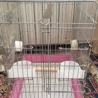 قفس پرنده