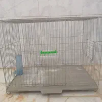 قفس جفت خون