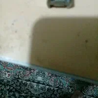 خط دائمی صفر