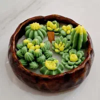 باغچه کاکتوس