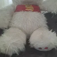 سلام شاخصین خرسی