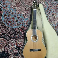 گیتار دیاموند