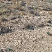 مشارکت در ساخت