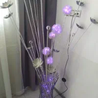 اپاژور و گلدون شیک