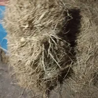 کاه(گرد) برنج و سرچینا