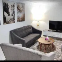 خانم جوان جهت امور منزل