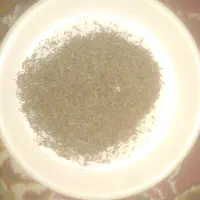 سلام زیره کوهی