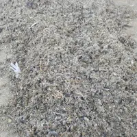 کود مرغ (زل مرغ). خشک