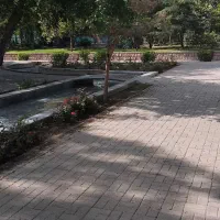 والیبال و کوه