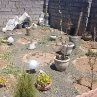 نیازمند به بنا برای ساخت استخر