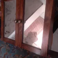 جا نوار کاست قدیمی