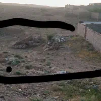 دامداری قابل معاوضه