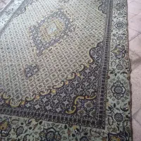 فرش|فرش|قرچک, میرزائی جنوبی|دیوار