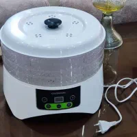 میوه خشک کن گاسونیک