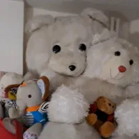 عروسک ، تدی ، بزرگ