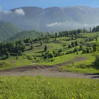 فروش ویلا در دل جنگل