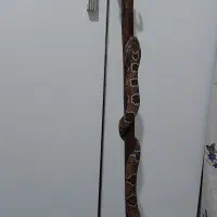 عصا منبت کاری شده