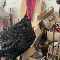 بوقلمون