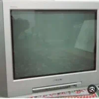 تلوزیون