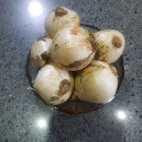 موسیر کوهی درجه یکک